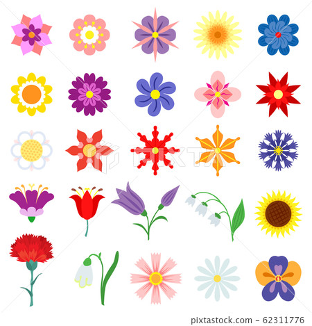 Color flowers set 62311776