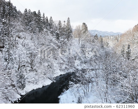 Forest river snow scene Forest river snow scene 62311960