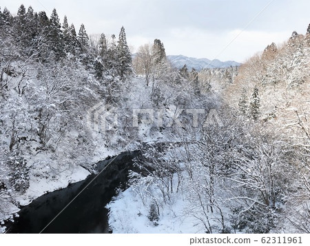 森林河雪景 森林河雪景 62311961