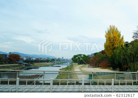 京都鴨川秋葉 京都鴨川秋葉 62312617