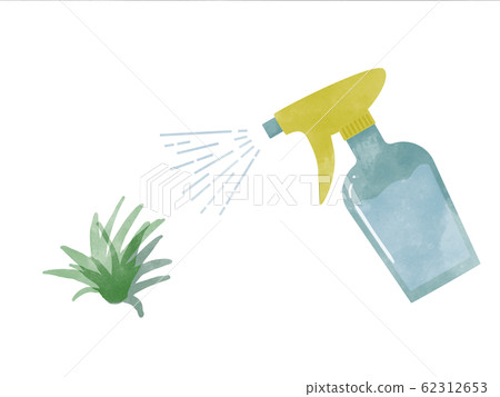 通過噴霧給空中植物澆水 62312653