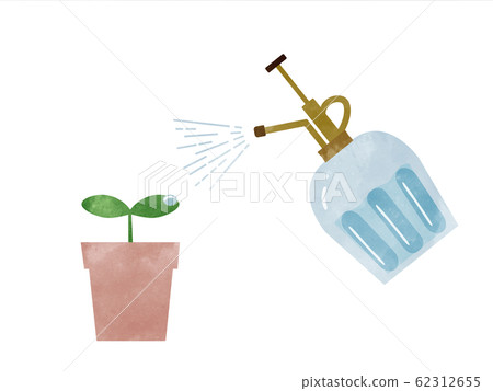 通過噴霧給空中植物澆水 62312655