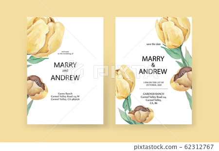Yellow tulip flowers and leaves on white background in minimalist style. Yellow tulip flowers and leaves on white background in minimalist style. 62312767
