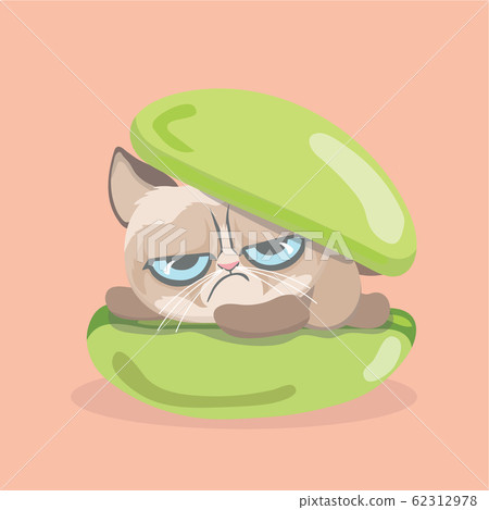 A Cute grumpy cat with dessert. - Stock Illustration [62312978] - PIXTA
