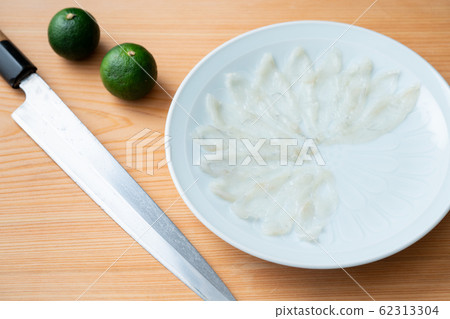 Blowfish thin structure Blowfish thin structure 62313304