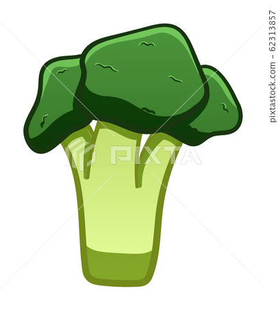 Green cartoon style broccoli on white background Green cartoon style broccoli on white background 62313857