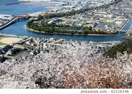 Wakayama city (Yosuien area) seen from Takatsuko mountain in full bloom Wakayama city (Yosuien area) seen from Takatsuko mountain in full bloom 62316146