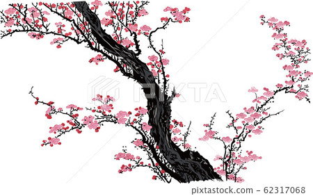 Ukiyo-e Sakura 17 62317068