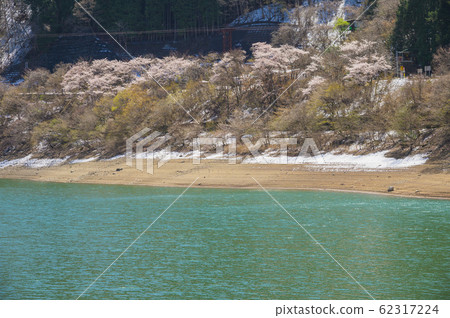 奧多摩湖和櫻花 62317224