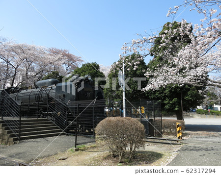 Sakai West Entrance No.1 Park in Sakai City where the cherry blossoms are blooming 62317294