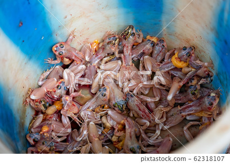 Peeled frogs in bucket for sale in China 62318107