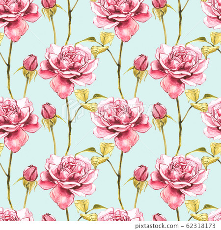 Watercolor pink wild roses. Wild flower set isolated on white. Botanical watercolor illustration, roses bouquet, rustic flowers. Seamless patterns. 62318173