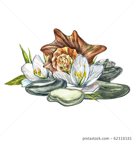 White flowers, shells and spa stones. SPA concept. Watercolor illustrations. Botanical painting on isolated white background. Can be used as background for web pages wedding invitations, greeting White flowers, shells and spa stones. SPA concept. Watercolor illustrations. Botanical painting on isolated white background. Can be used as background for web pages wedding invitations, greeting 62318181