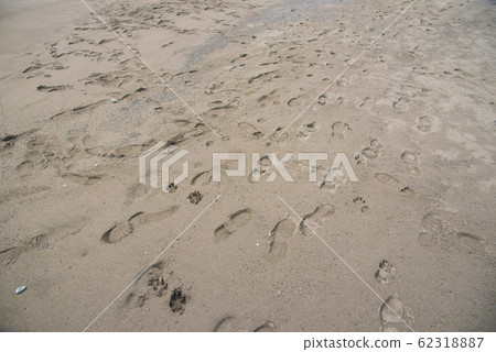 Footprints of people and dogs remaining on the sandy beach Footprints of people and dogs remaining on the sandy beach 62318887