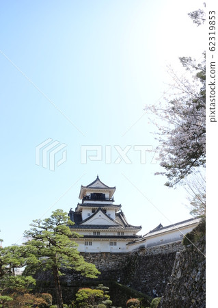 Kochi Castle in spring with cherry blossoms in full bloom Kochi Castle in spring with cherry blossoms in full bloom 62319853