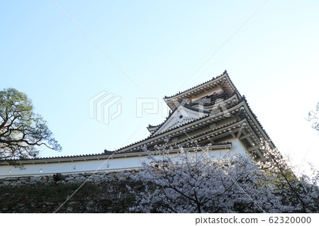 Kochi Castle in spring with cherry blossoms in full bloom Kochi Castle in spring with cherry blossoms in full bloom 62320000
