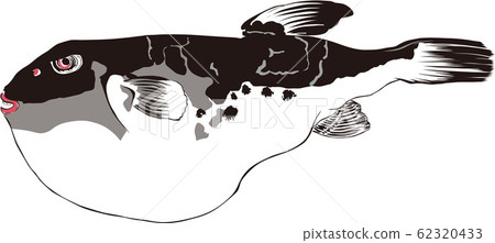 浮世繪河谷 62320433