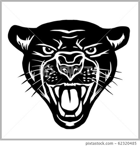 Panther head - vector illustration isolated on white Panther head - vector illustration isolated on white 62320485
