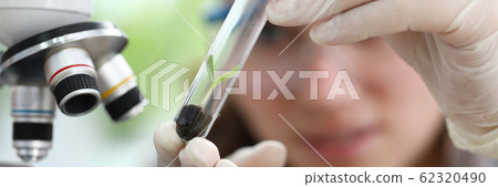 Hebal medicine extract research concept Hebal medicine extract research concept 62320490