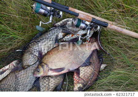 Successful fishing -  big freshwater bream fish 62321717