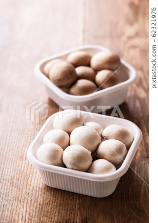 Mushroom Mushroom 62321976