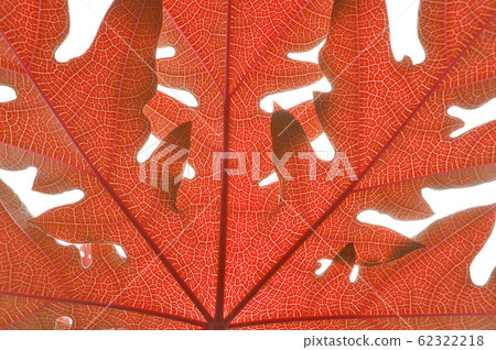 backgrounds/textures backgrounds/textures 62322218