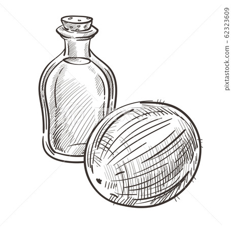Coconut oil in bottle and whole plant hand drawn illustration Coconut oil in bottle and whole plant hand drawn illustration 62323609