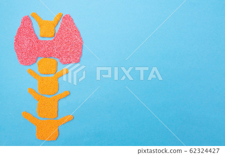 Plasticine thyroid gland on a blue background. Thyroid disease concept, nodular goiter, cancer. Hyperfunction Treatment, copy space 62324427