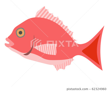 Fish - Stock Illustration [62324960] - PIXTA