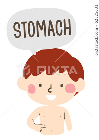 Kid Boy Naming Body Parts Stomach Illustration 62325631