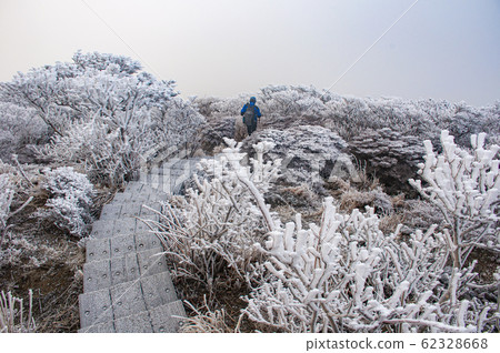 韓國山路 62328668