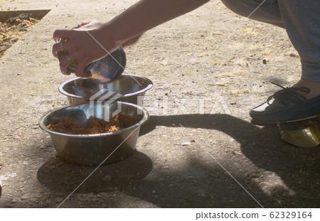 Woman's hands putting dog's food into the bowls 62329164