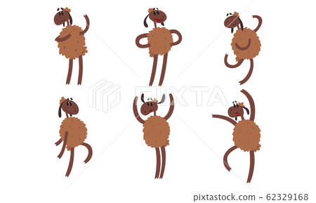 Funny Sheep Collection, Humanised Farm Animal Cartoon Character Standing on Hind Legs Vector Illustration Funny Sheep Collection, Humanised Farm Animal Cartoon Character Standing on Hind Legs Vector Illustration 62329168