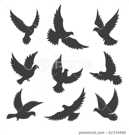 Dove spiritual silhouettes Dove spiritual silhouettes 62329486