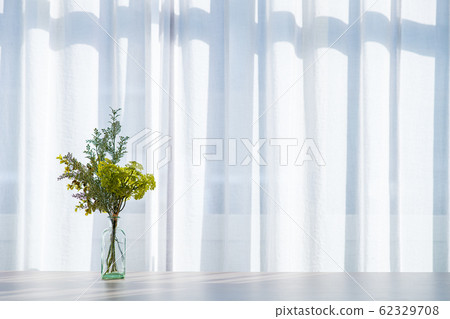 植物 植物學 植物的 62329708