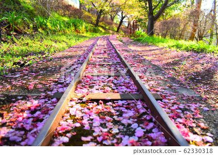 櫻花和軌道 櫻花和軌道 62330318