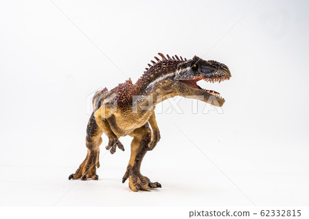 Allosaurus ,dinosaur on white background . Allosaurus ,dinosaur on white background . 62332815