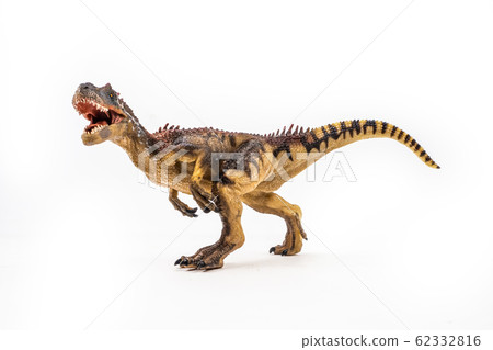 Allosaurus ,dinosaur on white background . 62332816