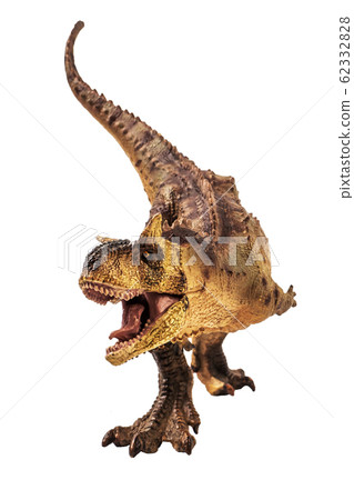 Carnotaurus  Dinosaur on white background   . 62332828