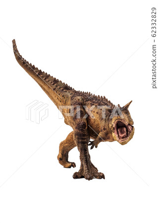 Carnotaurus Dinosaur on white background . Carnotaurus Dinosaur on white background . 62332829