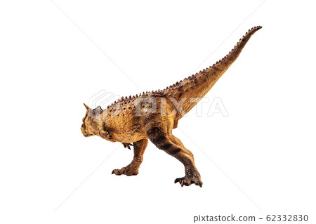 Carnotaurus Dinosaur on white background . Carnotaurus Dinosaur on white background . 62332830
