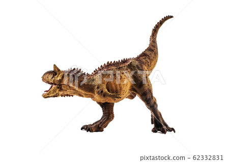 Carnotaurus Dinosaur on white background . Carnotaurus Dinosaur on white background . 62332831