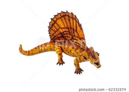 Dimetrodon  Dinosaur on white background . 62332874