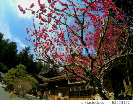 小國神社 62333102