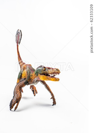 Feathered Velociraptor  , Dinosaur on white background  . 62333109