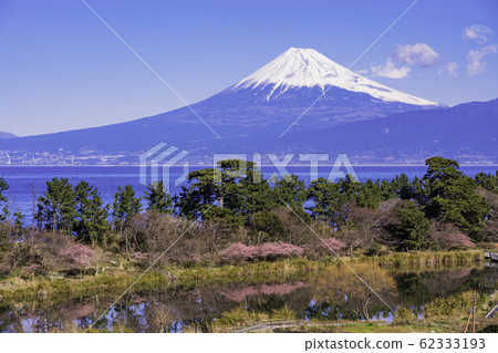 (靜岡縣)初春從西伊豆市看到的富士山 (靜岡縣)初春從西伊豆市看到的富士山 62333193