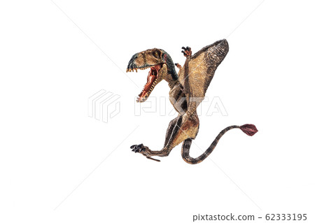 Dimorphodon Dinosaur on white background Dimorphodon Dinosaur on white background 62333195