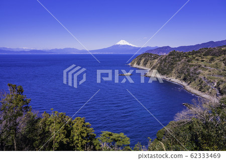 （靜岡縣）從西伊豆/小ib人三崎看的富士山 62333469