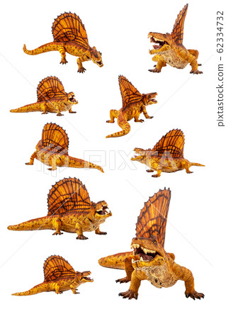 Dimetrodon Dinosaur on white background . Dimetrodon Dinosaur on white background . 62334732