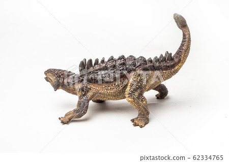 Ankylosaurus Dinosaur on white background . 62334765